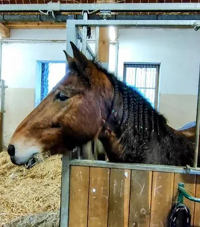 Sopockie Santorini * Sopot