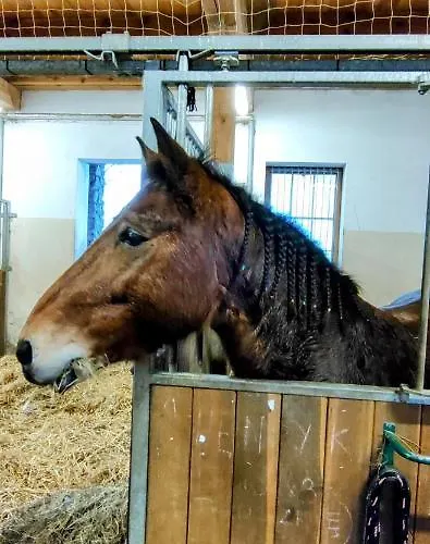 Sopockie Santorini * Sopot